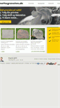 Mobile Screenshot of nettogravsten.dk